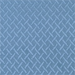 Shower Shield Blue Moon